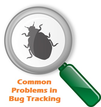 Top 10 common problems in bug tracking