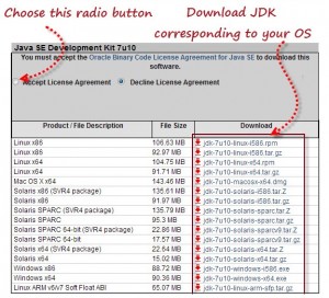 Download Java Development Kit (JDK)
