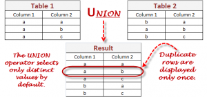 SQL UNION Query