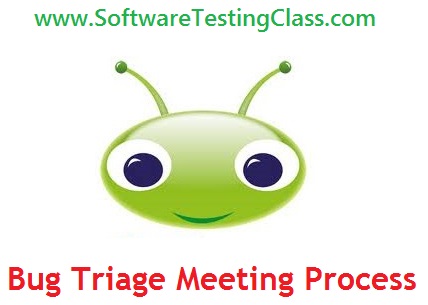 Bug Triage Meeting Process