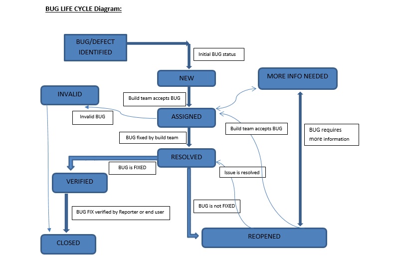 Bug Life Cycle Flow Chart