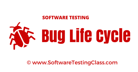 Bug Life Cycle in Software Testing