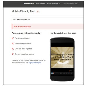 Google Mobile result