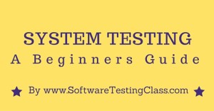 Basic Concepts of System Testing