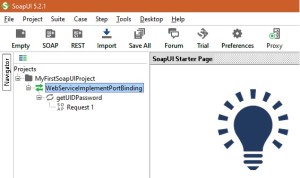 SoapUI Project screenshot2
