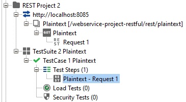 SoapUI plaintext0 | Software Testing Class