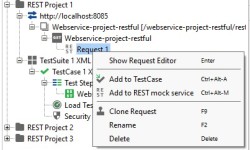 REST Testing using SoapUI
