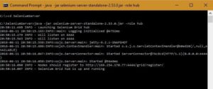 Selenium Grid hub
