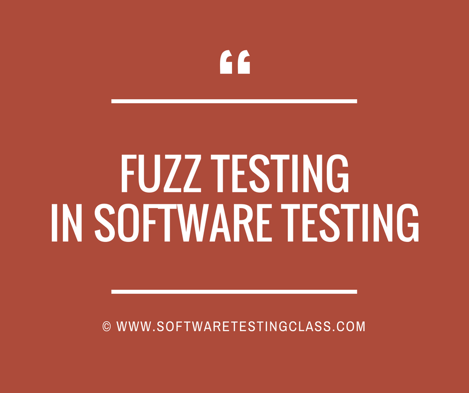 Fuzz Testing in Software Testing