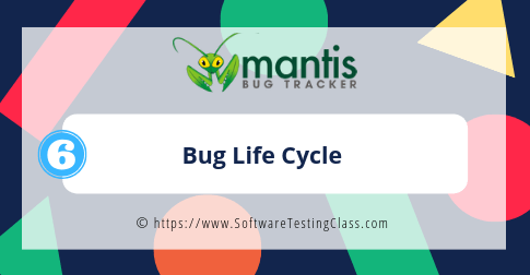 Bug Life Cycle Mantis Bug Tracker