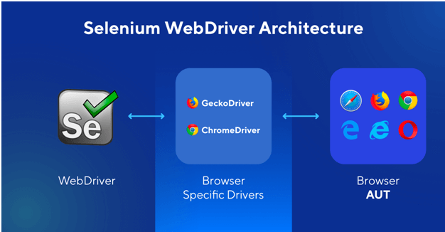 Software Test Automation